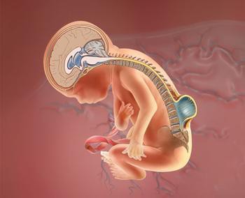 万利国际(中国集团)官方网站