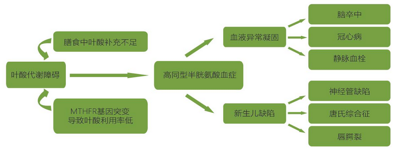 万利国际(中国集团)官方网站