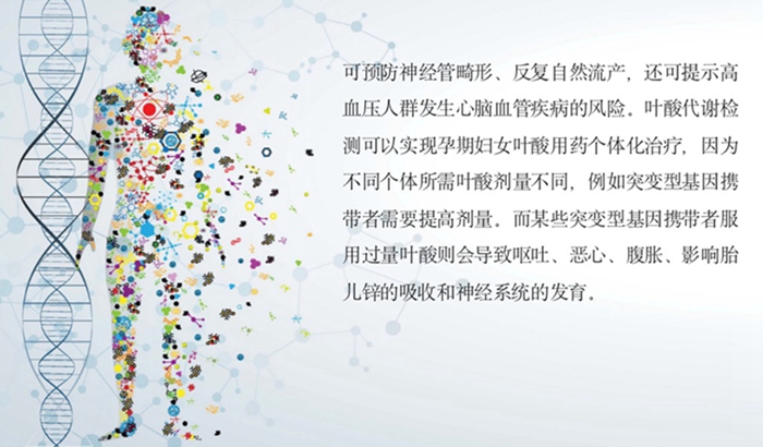 万利国际(中国集团)官方网站