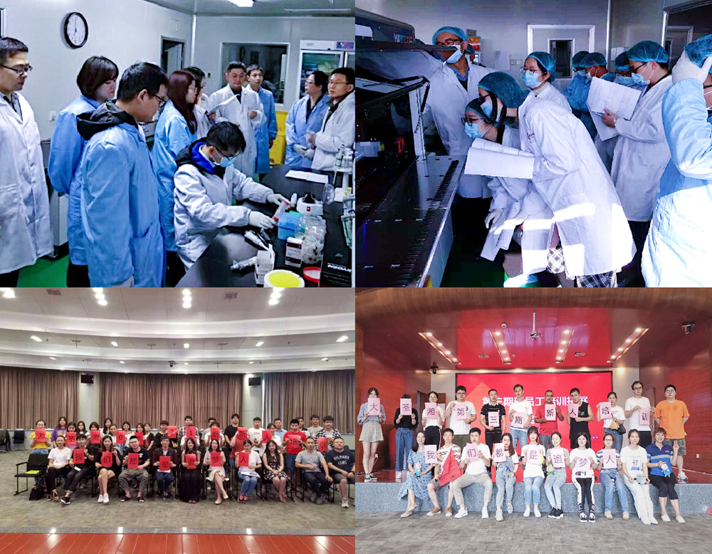 万利国际(中国集团)官方网站