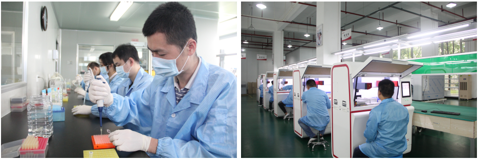 万利国际(中国集团)官方网站