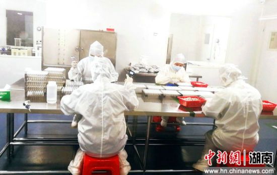 万利国际(中国集团)官方网站