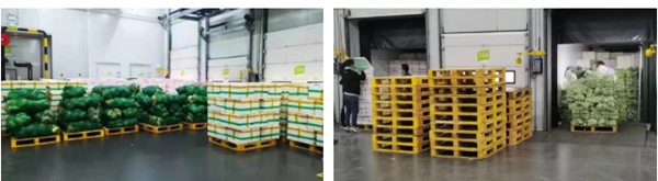 万利国际(中国集团)官方网站